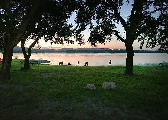 Medina Lake Camping Resort Studio Cabin 1